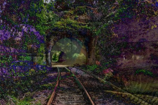 dabus, a recent entrance to paradise, de steven thaler
