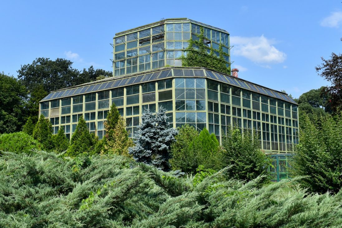 the,exhibition,greenhouse,of,the,botanical,garden,in,bucharest,,romania