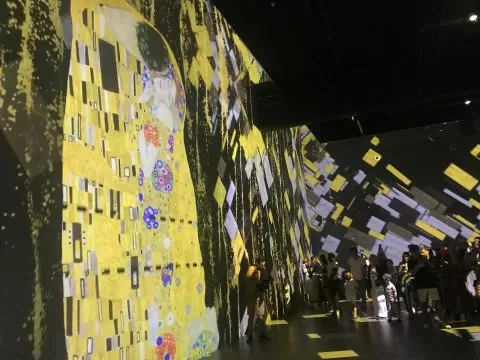 mina, klimt, curatorial.ro