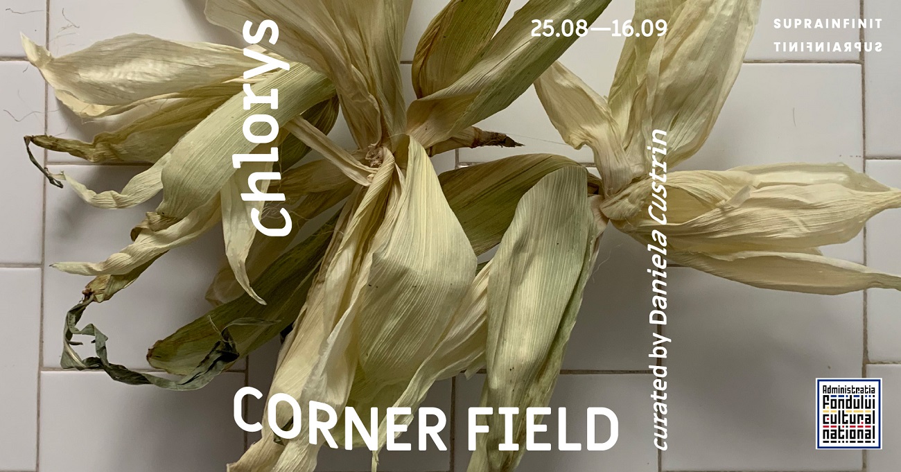 corner field, chlorys