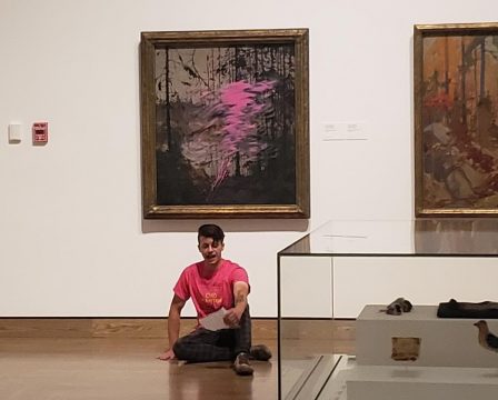 protest on2ottawa, galeria nationala a canadei