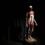 1 brancusi, timisoara mnart, curatorial.ro, ecorșeu