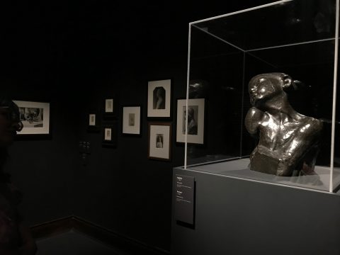 3 brancusi, timisoara mnart, curatorial.ro, supliciu