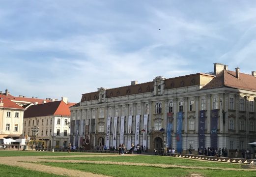 mnart, muzeul national de arta timisoara, curatorial.ro