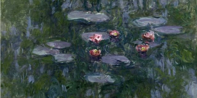 monet, nuferi © musée marmottan monet, paris bridgeman images