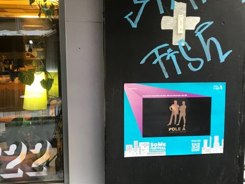 some festival, curatorial.ro