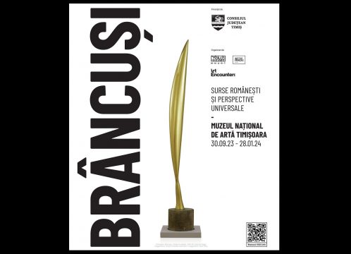 expozitie brancusi, timisoara