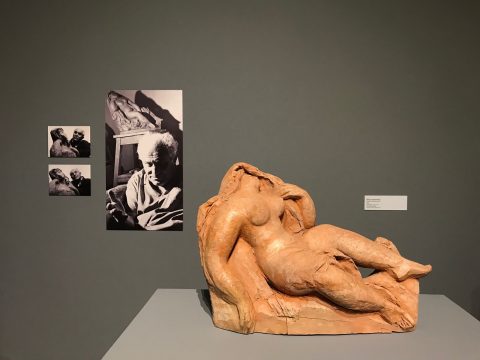 nud cu marama ii, romulus ladea, mnar, curatorial.ro