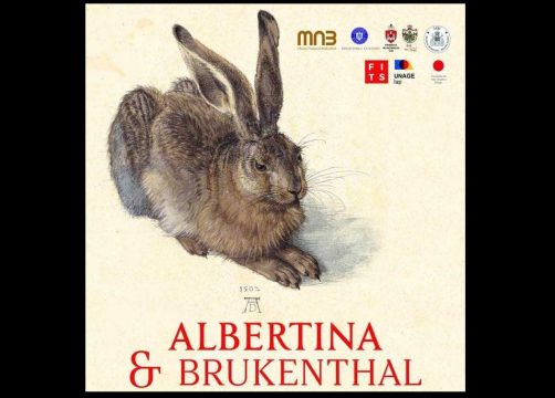 albertina si brukenthal, iasi