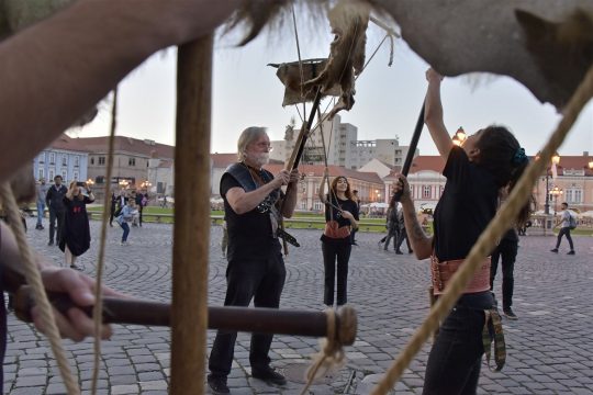 asteptandu l pe brancusi