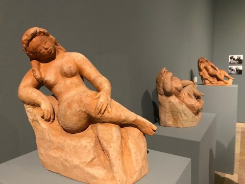 nuduri, romulus ladea, mnar, curatorial.ro