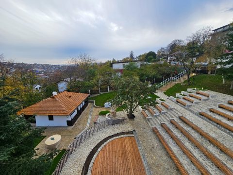 bojdeuca lui creanga, costel alexe