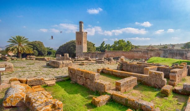 minaret,of,the,mosque,in,chellah,or,sala,colonia,is