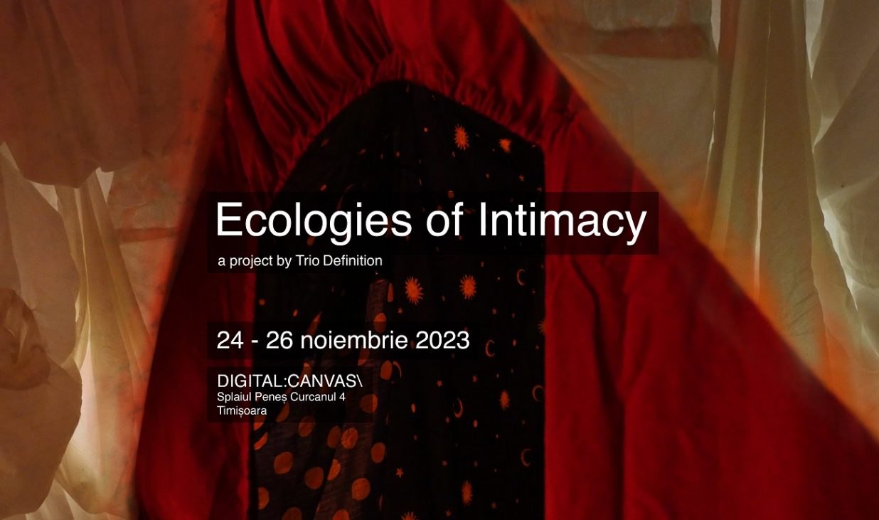 ecologies of intimacy afis