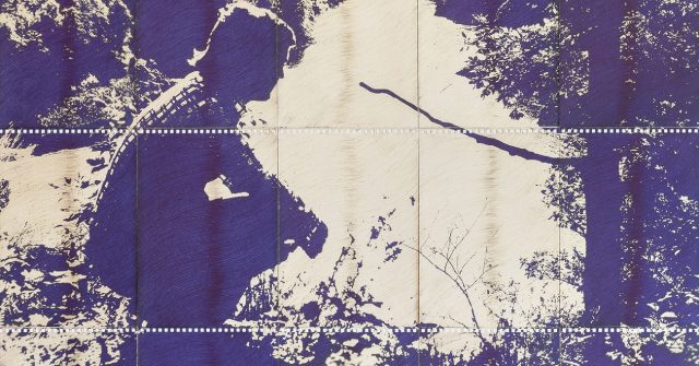 răzvan anton, fading study (tarnița lake), 2022