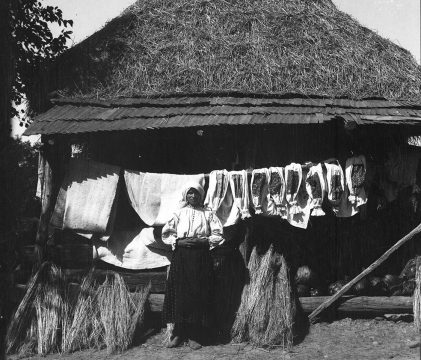 ie românească, arhiva mnțr