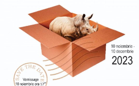 rinocer, galeriile academiei