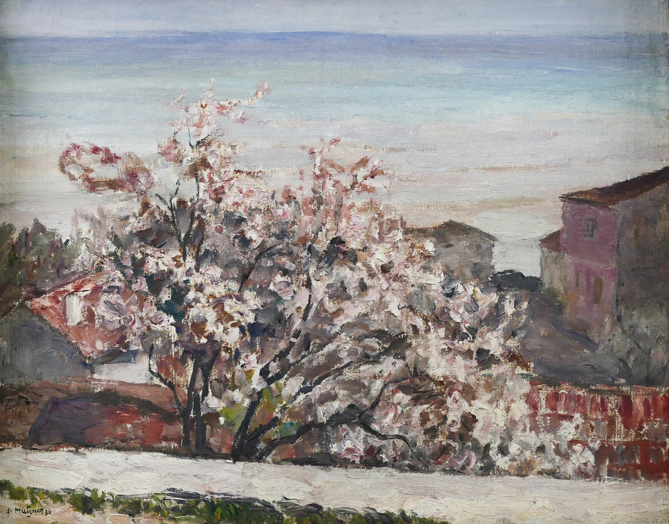 magnolie la balcic, samuel mutzner, alis