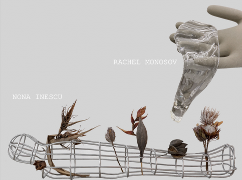 catinca tabacaru, nada 2023