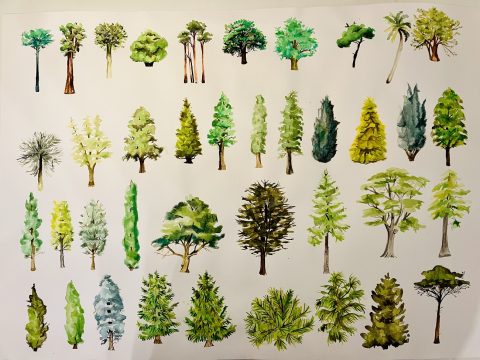 perspective naturale, expo csv