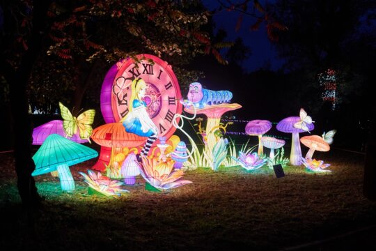 garden of lights, gradina botanica
