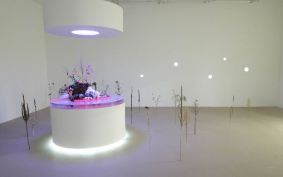 theo massoulier lyon biennale 2019 iac villeurbanne