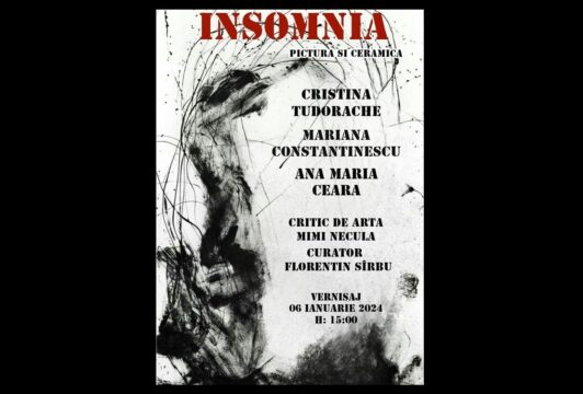 insomnia, expo, muzeul de arta constanta
