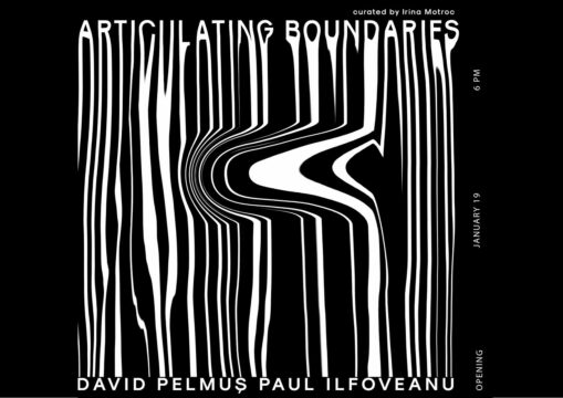 pelmus, ilfoveanu, expozitie diptych