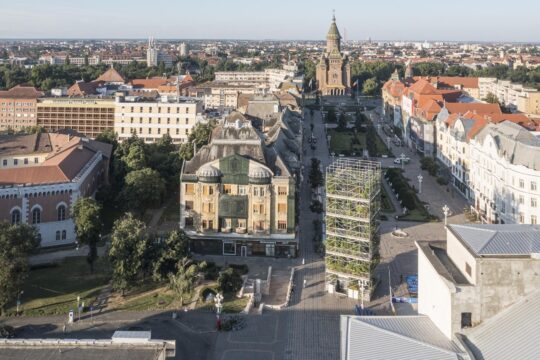 pepiniera timisoara