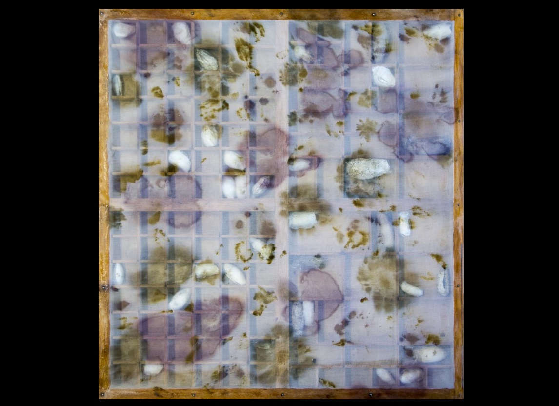 monica mays, shadow box, 2024, cutie taxonimică, alamă, bomby moris, sifon, flori