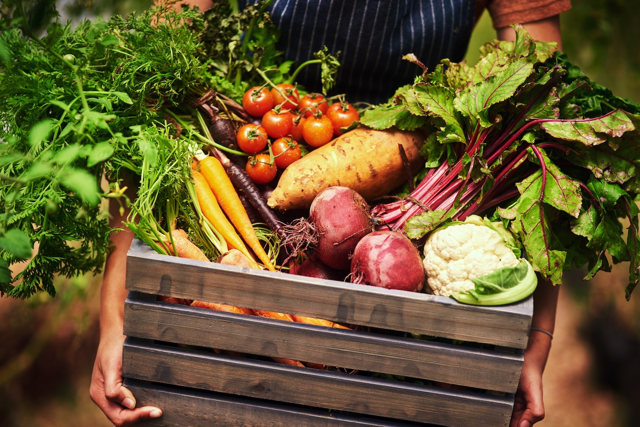 Sistemele-alimentare-sustenabile-sursa-foto-Shutterstock-curatorial.ro_.