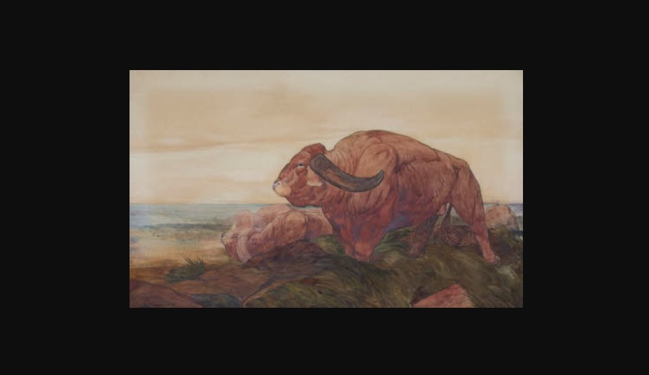 acuarela, cartea junglei, the return of the buffalo herd, national trust images