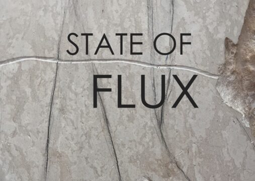 flux expo biju