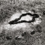 silueta series, ana mendieta, guggenheim
