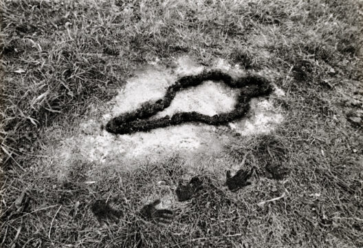 silueta series, ana mendieta, guggenheim
