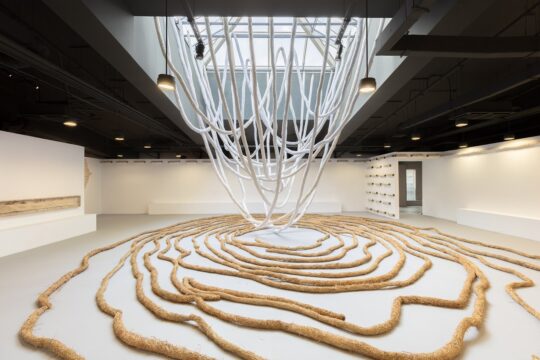 2024 victoria zidaru first day mnac 4 installation view