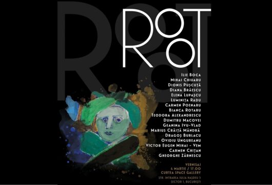 root, curtea space gallery