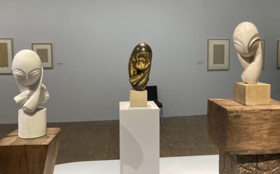 domnisoara pogany centre pompidou icr10