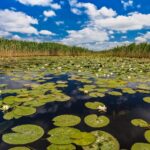 a,beautiful,lake,in,danube,delta,,romania