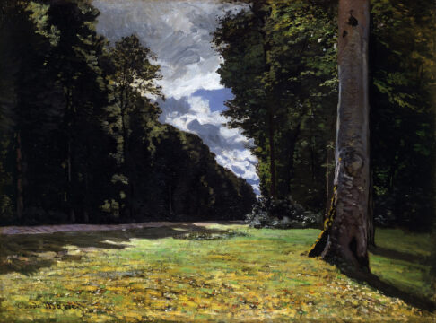 le pavé de chailly in the forest of fontainebleau