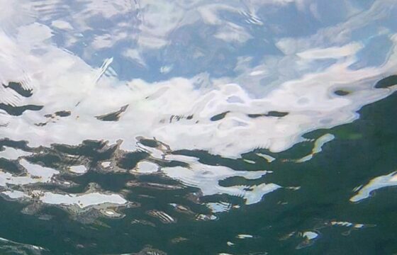 aqua recens