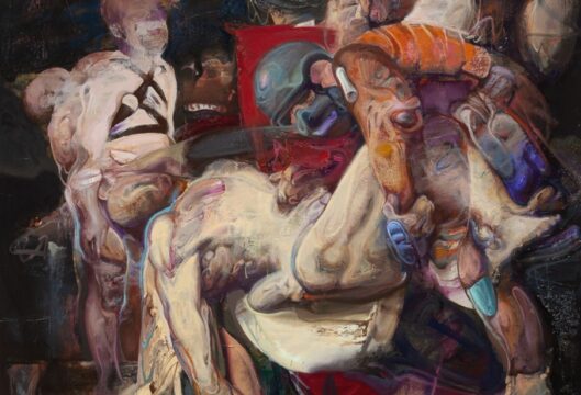 mircea maurice novac, jurnal de atelier