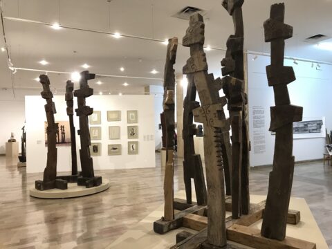 stihiile războiului, ion vlasiu. omul printre arbori, curatorial.ro