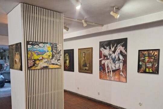 sorin ienulescu, caminul artei, convergente