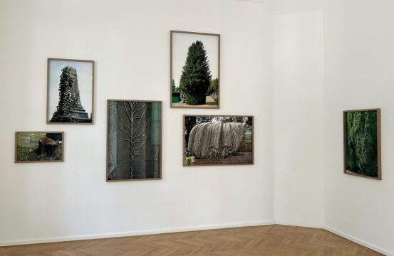 ecology of the after life, expo anca poterasu