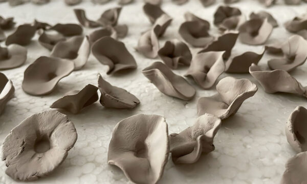 alina tudor, ceramica