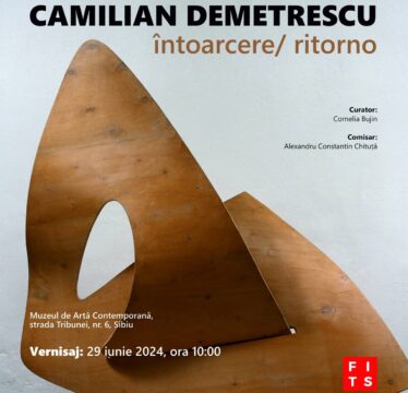 camilian demetrescu, expozitie