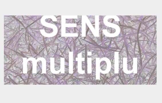 sens multiplu
