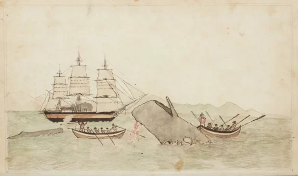 henry m. johnson, acushnet (whaler), jurnal de bord 1845–47, peabody essex museum