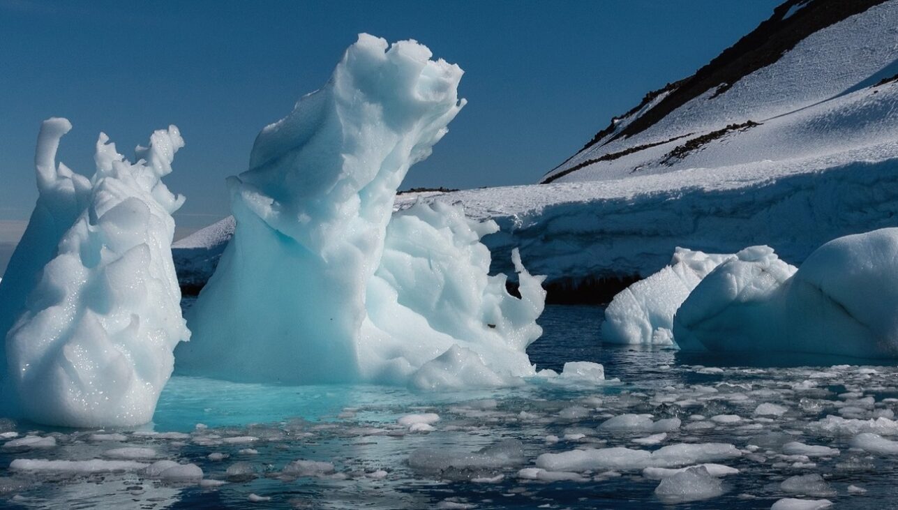 antarctica, pe urmele lui emil racovita